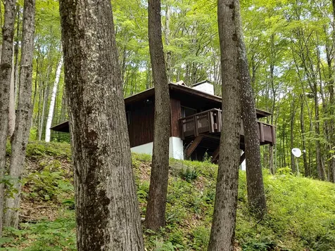 219 Sparrow Hawk Road Rochester VT 05767