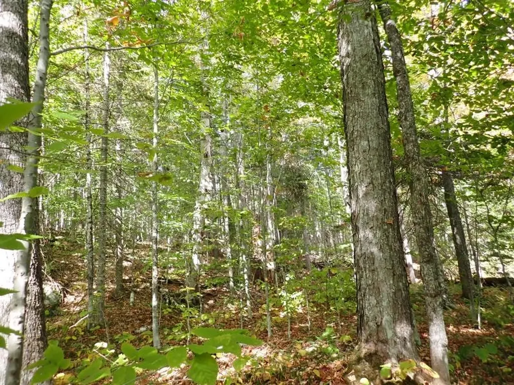 0 Victory Road Victory VT 05858