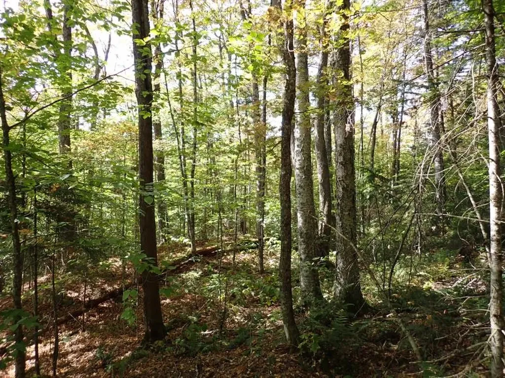 0 Victory Road Victory VT 05858