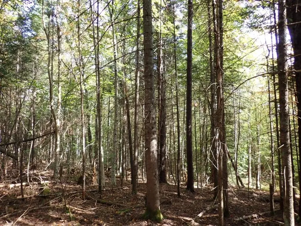 0 Victory Road Victory VT 05858