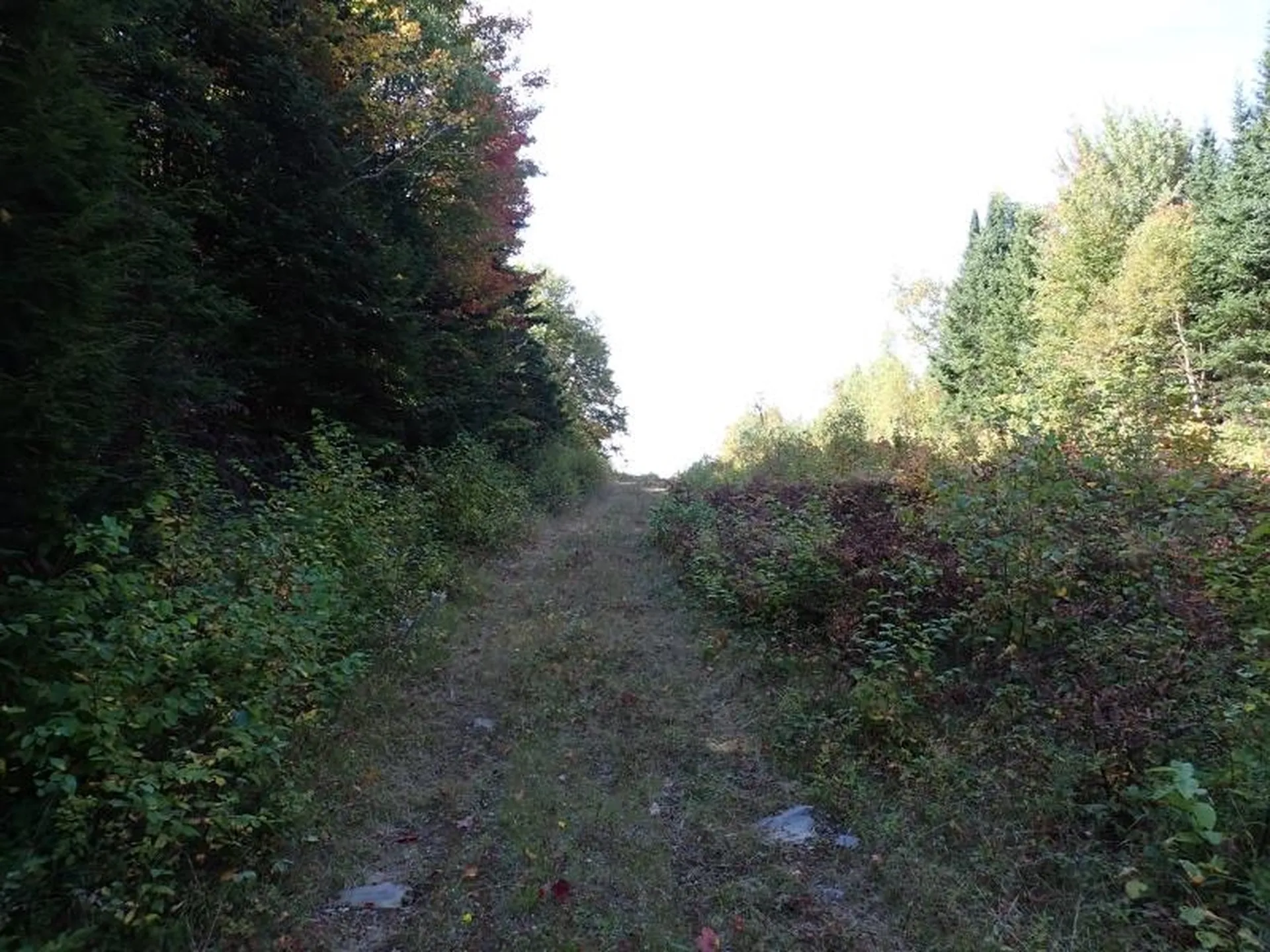 0 Victory Road Victory VT 05858