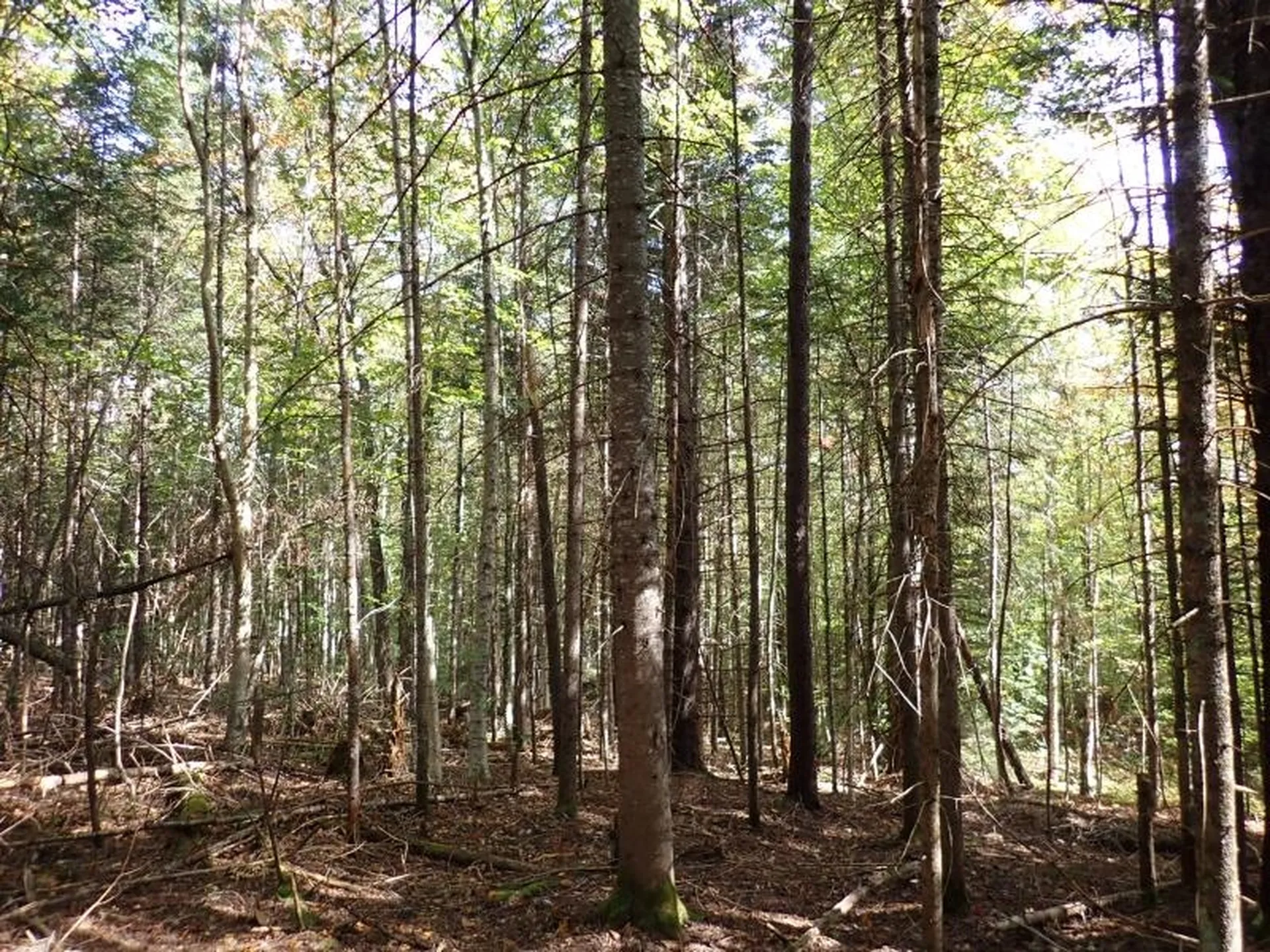 0 Victory Road Victory VT 05858