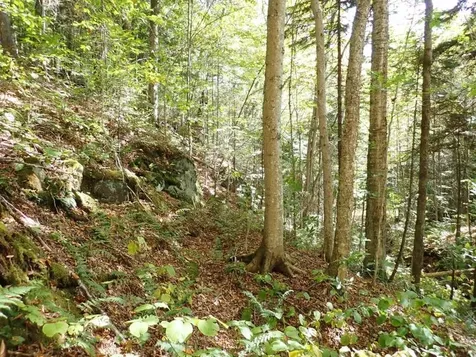 0 Victory Road Victory VT 05858