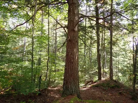 0 Victory Road Victory VT 05858