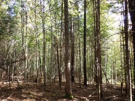 0 Victory Road Victory VT 05858