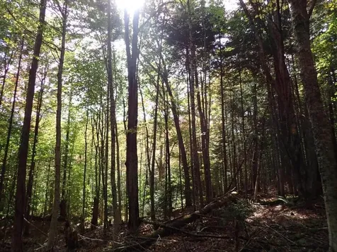 0 Victory Road Victory VT 05858