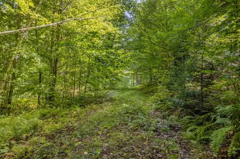 124 Turner Road Weston VT 05161