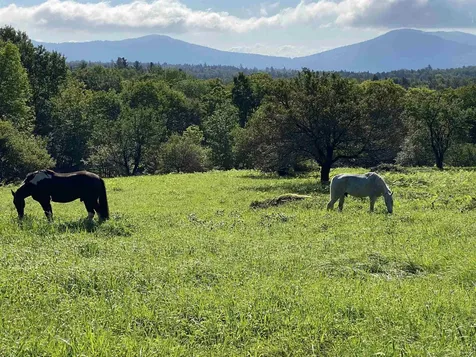 124 Turner Road Weston VT 05161
