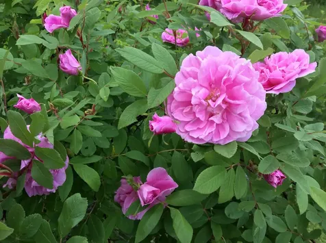 124 Turner Road Weston VT 05161