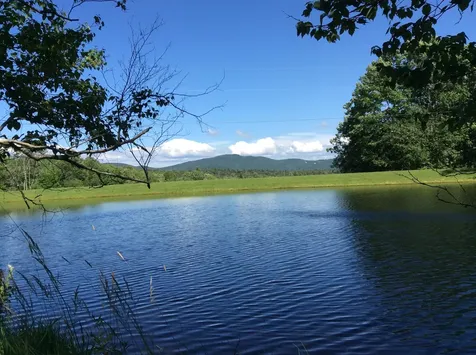 124 Turner Road Weston VT 05161