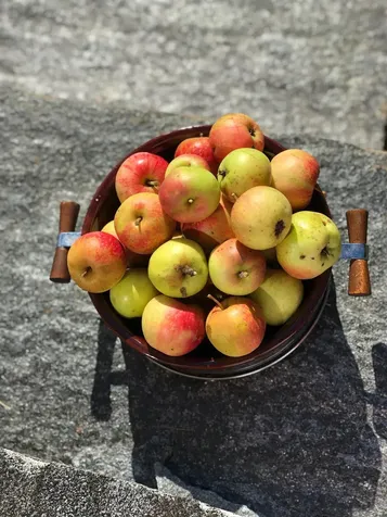 124 Turner Road Weston VT 05161