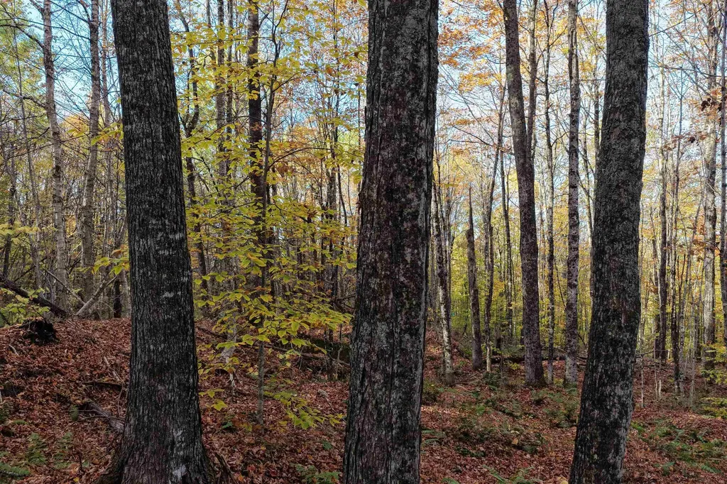 2448 Lost Nation Road East Haven VT 05837