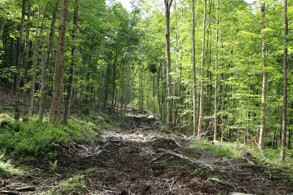 2448 Lost Nation Road East Haven VT 05837