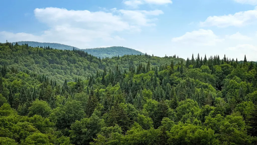 2448 Lost Nation Road East Haven VT 05837