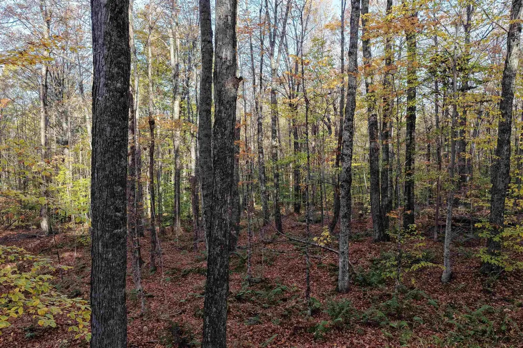 2448 Lost Nation Road East Haven VT 05837