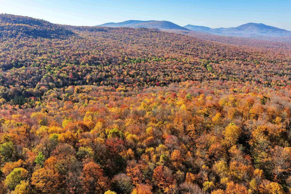 2448 Lost Nation Road East Haven VT 05837