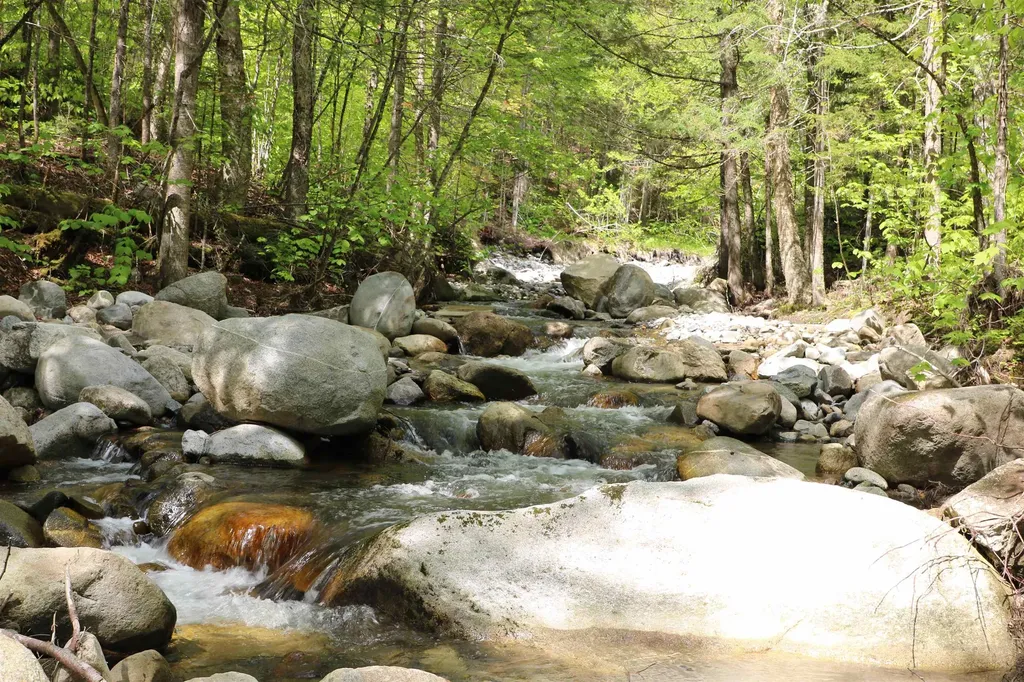 2448 Lost Nation Road East Haven VT 05837