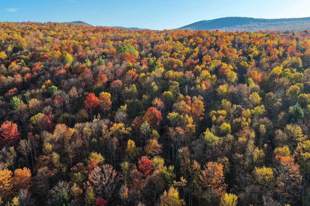 2448 Lost Nation Road East Haven VT 05837