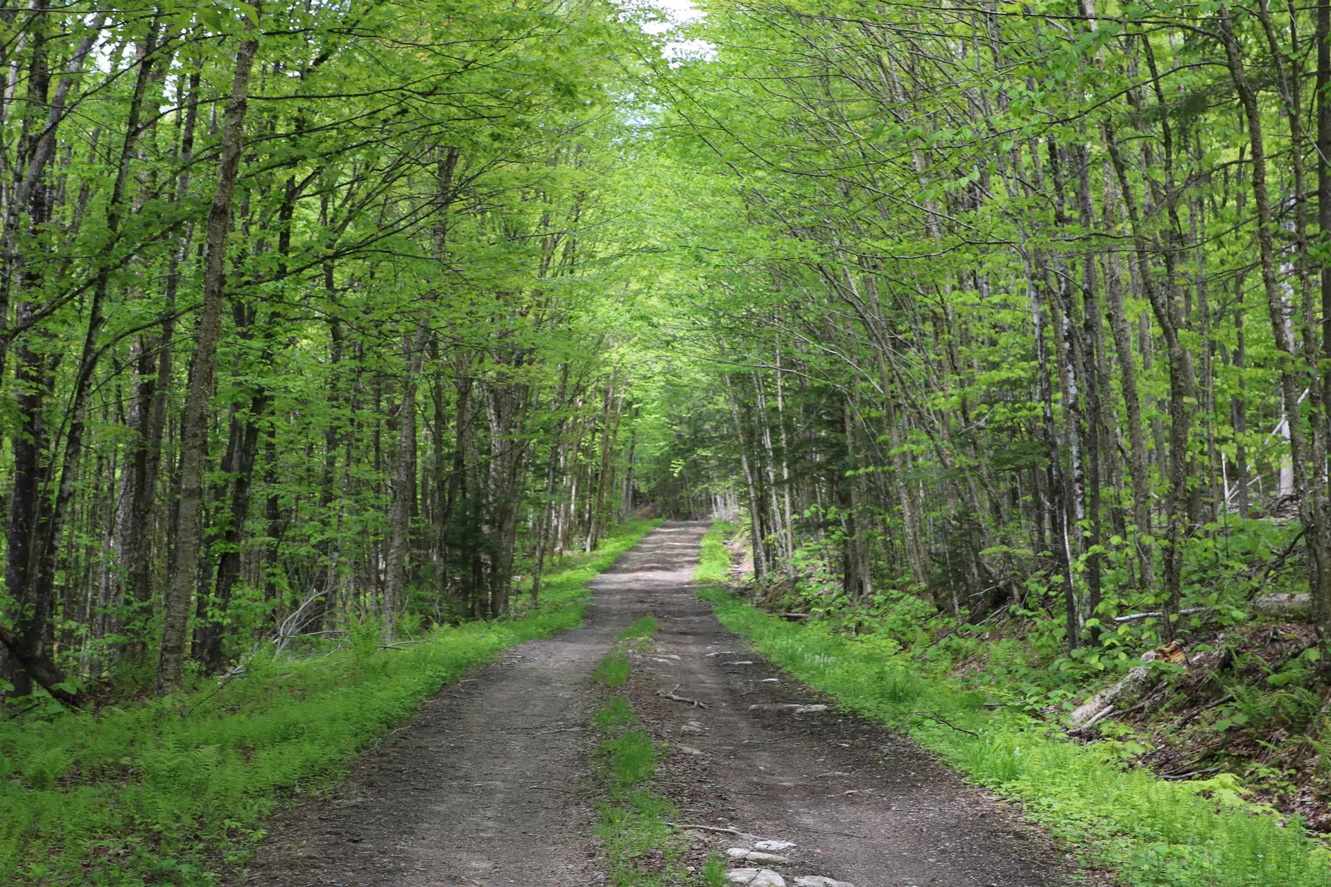 2448 Lost Nation Road East Haven VT 05837