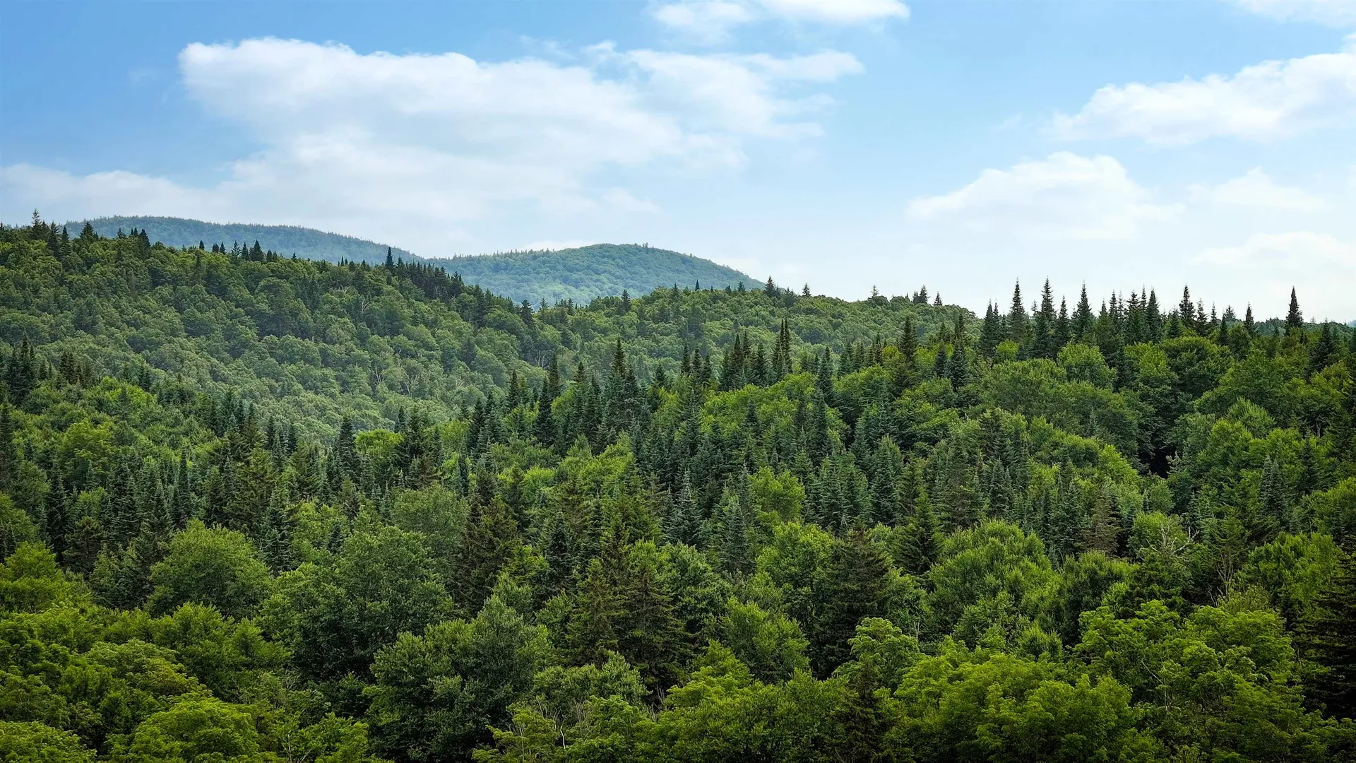 2448 Lost Nation Road East Haven VT 05837