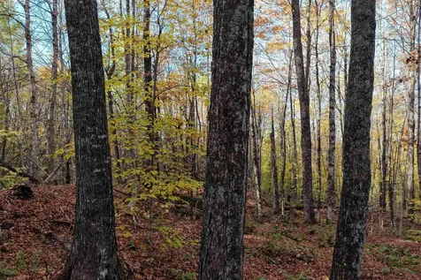 2448 Lost Nation Road East Haven VT 05837