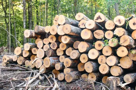 2448 Lost Nation Road East Haven VT 05837