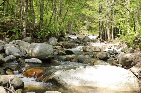 2448 Lost Nation Road East Haven VT 05837