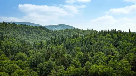 2448 Lost Nation Road East Haven VT 05837