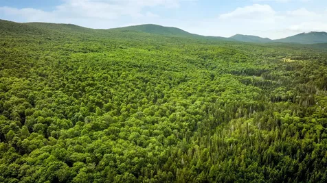 2448 Lost Nation Road East Haven VT 05837