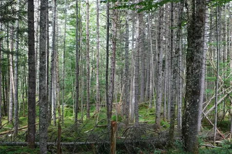 2448 Lost Nation Road East Haven VT 05837