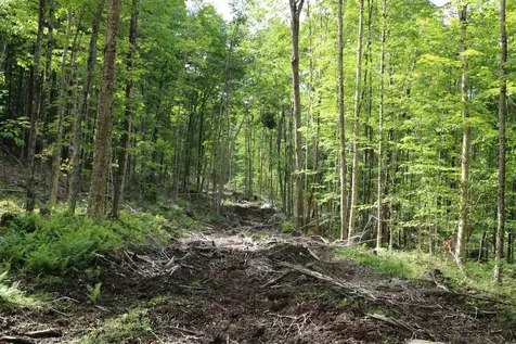 2448 Lost Nation Road East Haven VT 05837