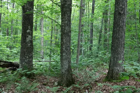 2448 Lost Nation Road East Haven VT 05837