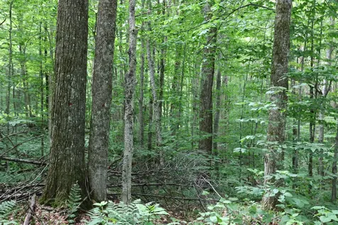 2448 Lost Nation Road East Haven VT 05837