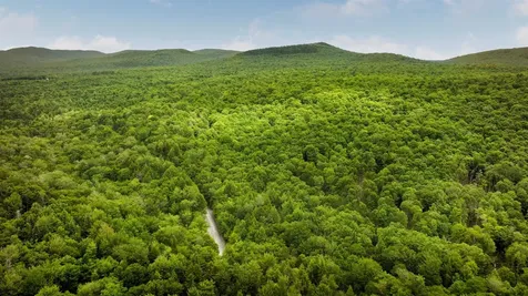 2448 Lost Nation Road East Haven VT 05837