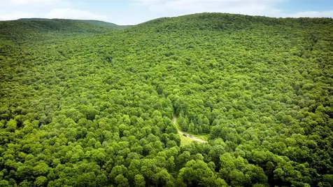 2448 Lost Nation Road East Haven VT 05837