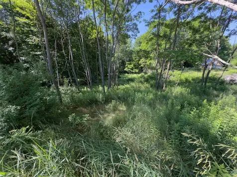 Lot 1 Wildflower Way Bath NH 03740