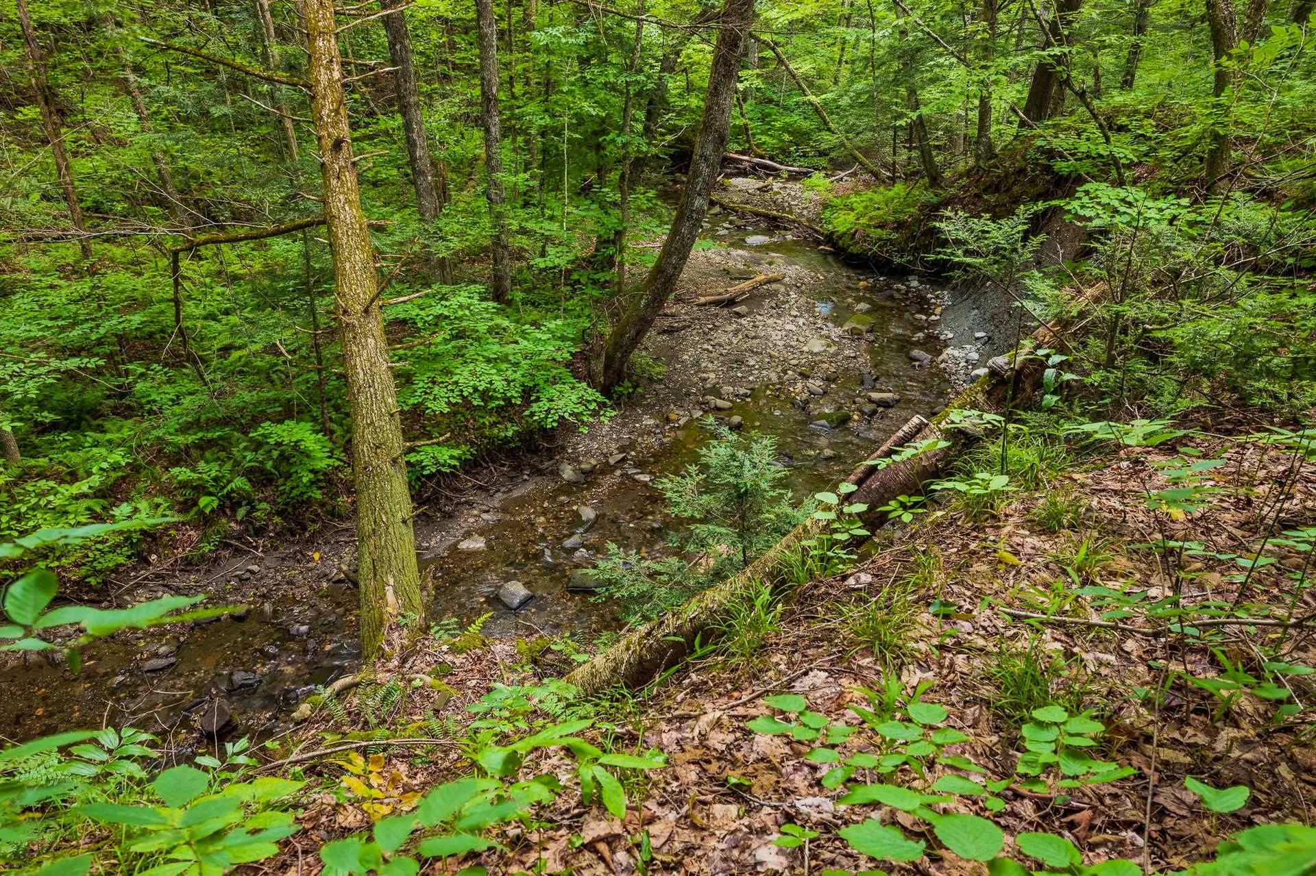 580 Moore Road Sharon VT 05065