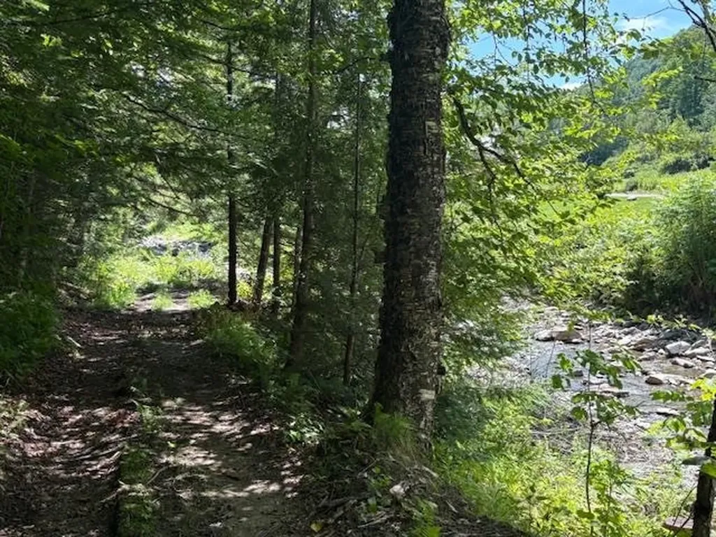 1585 Chateauguay Road Barnard VT 05031