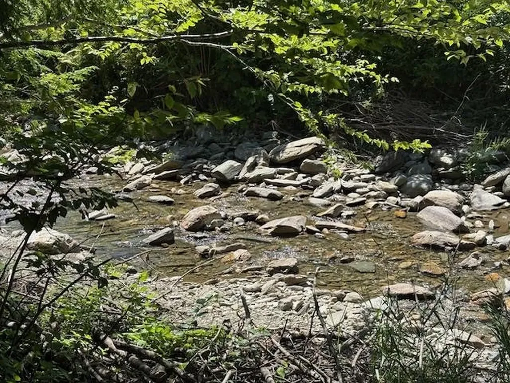 1585 Chateauguay Road Barnard VT 05031