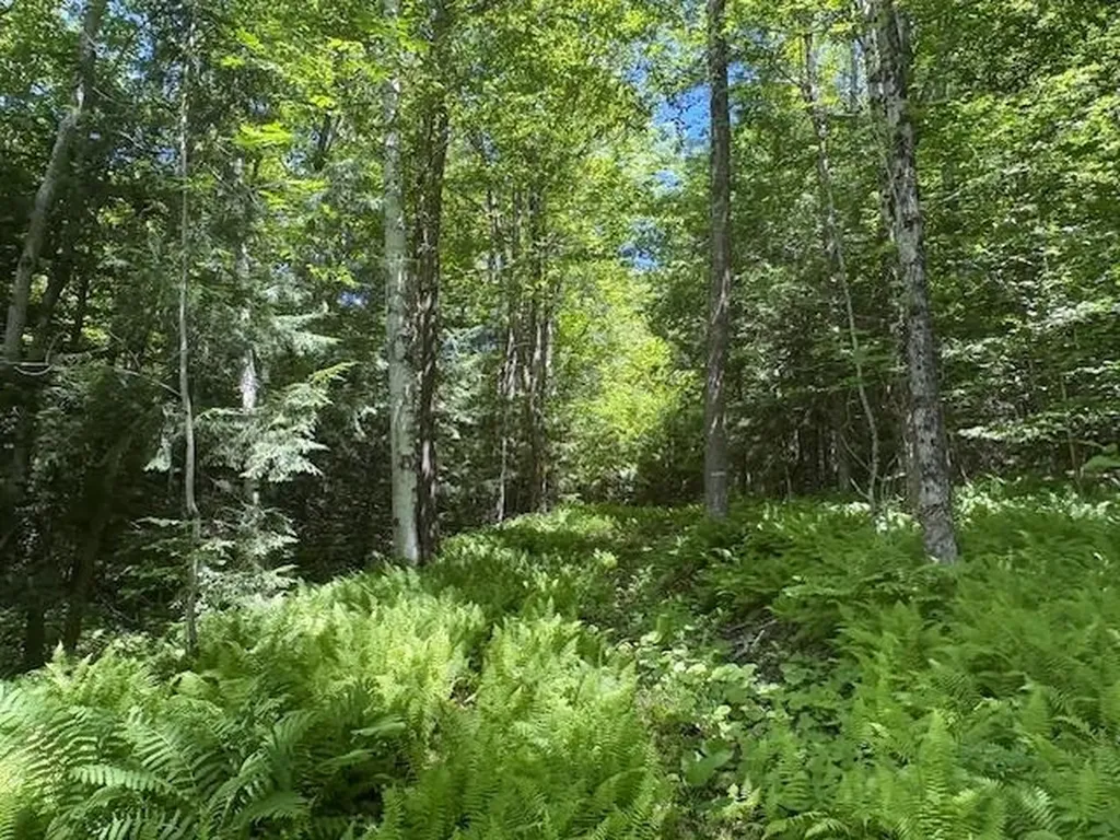 1585 Chateauguay Road Barnard VT 05031