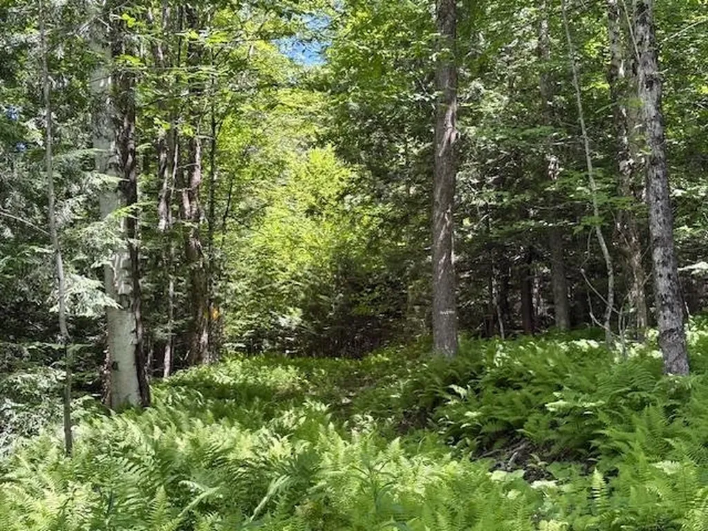 1585 Chateauguay Road Barnard VT 05031