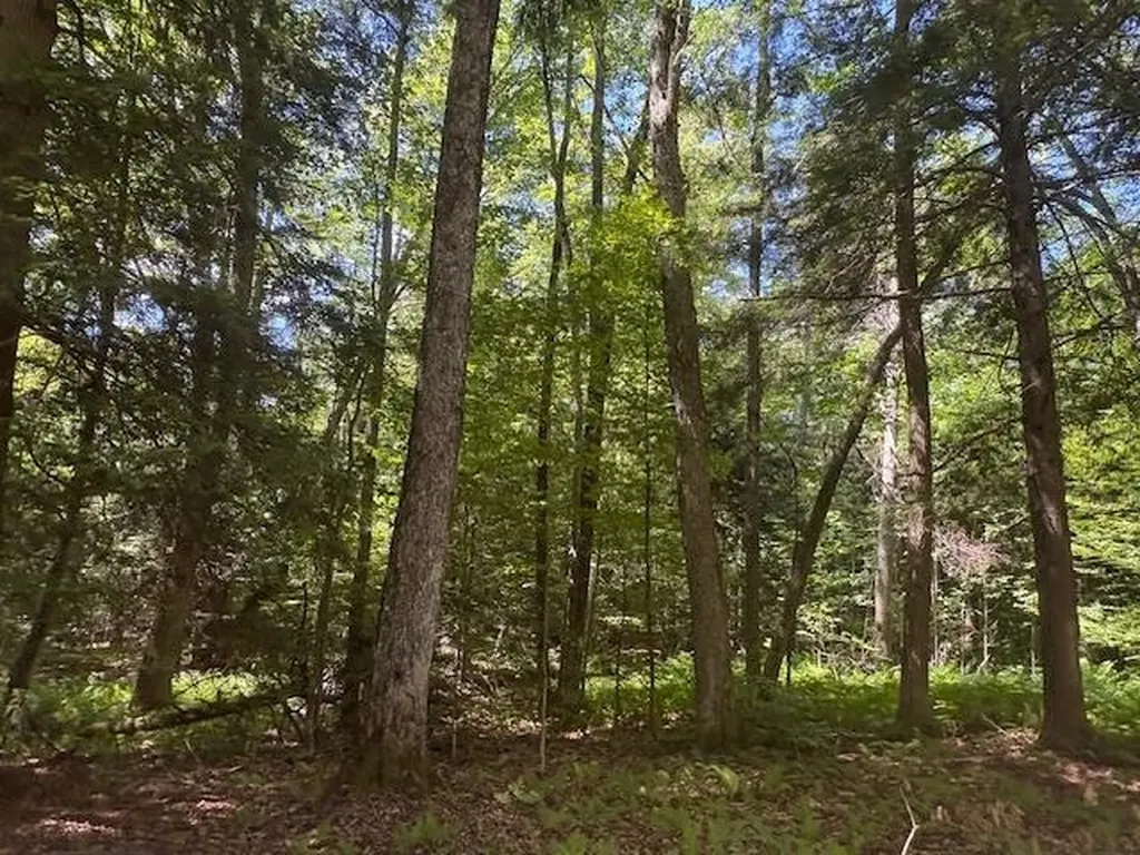 1585 Chateauguay Road Barnard VT 05031