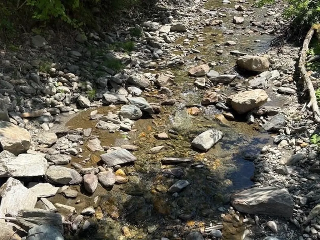 1585 Chateauguay Road Barnard VT 05031