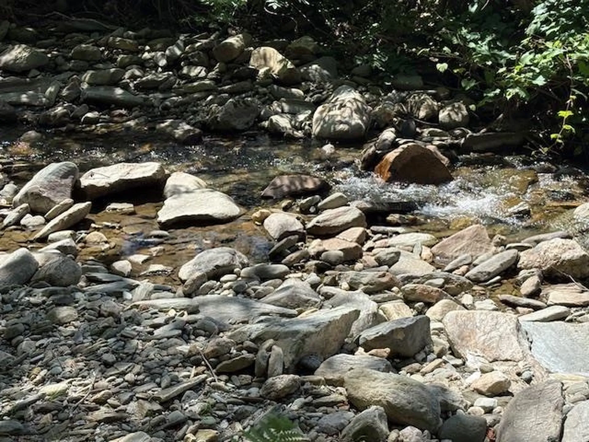 1585 Chateauguay Road Barnard VT 05031