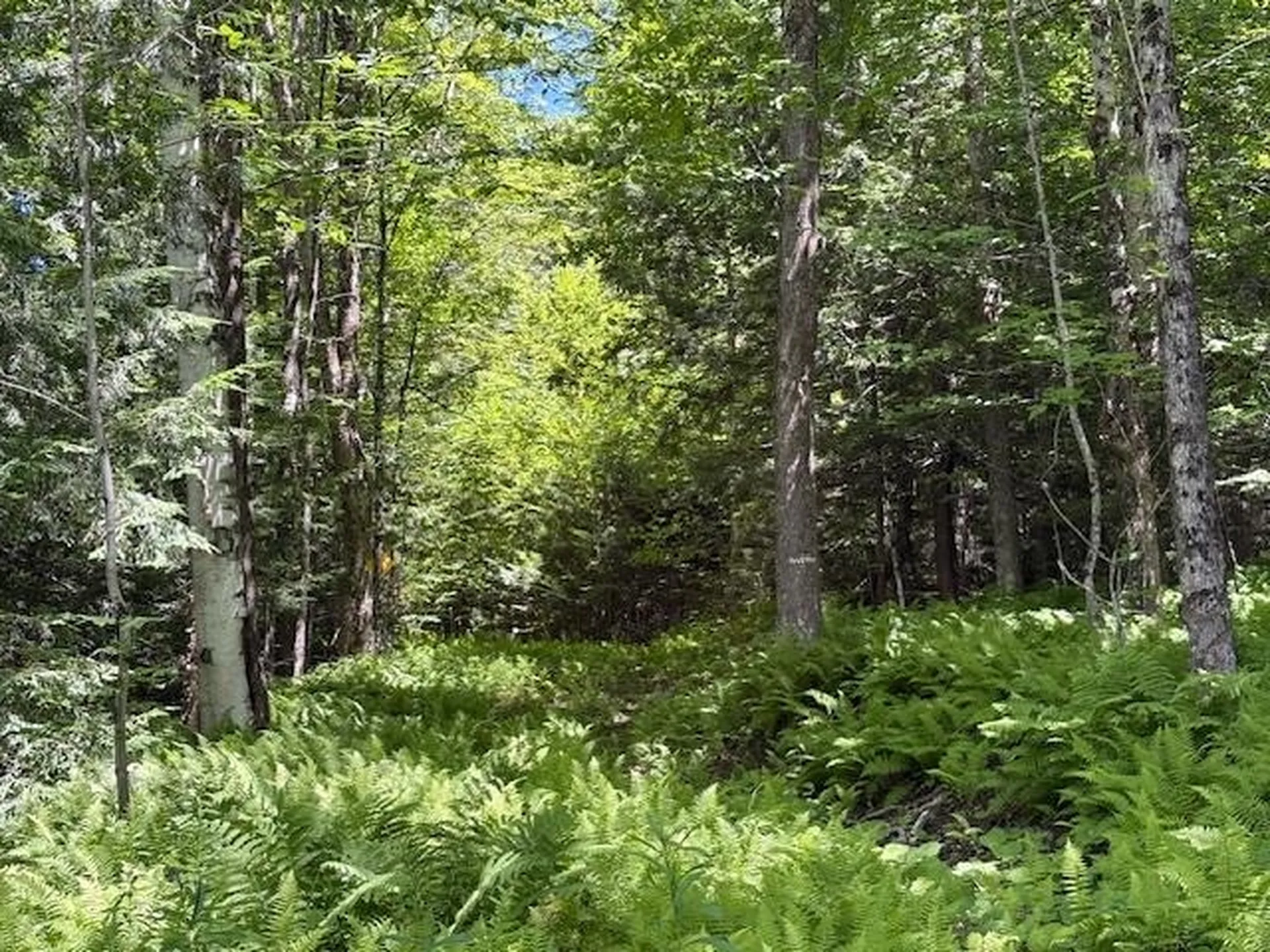 1585 Chateauguay Road Barnard VT 05031