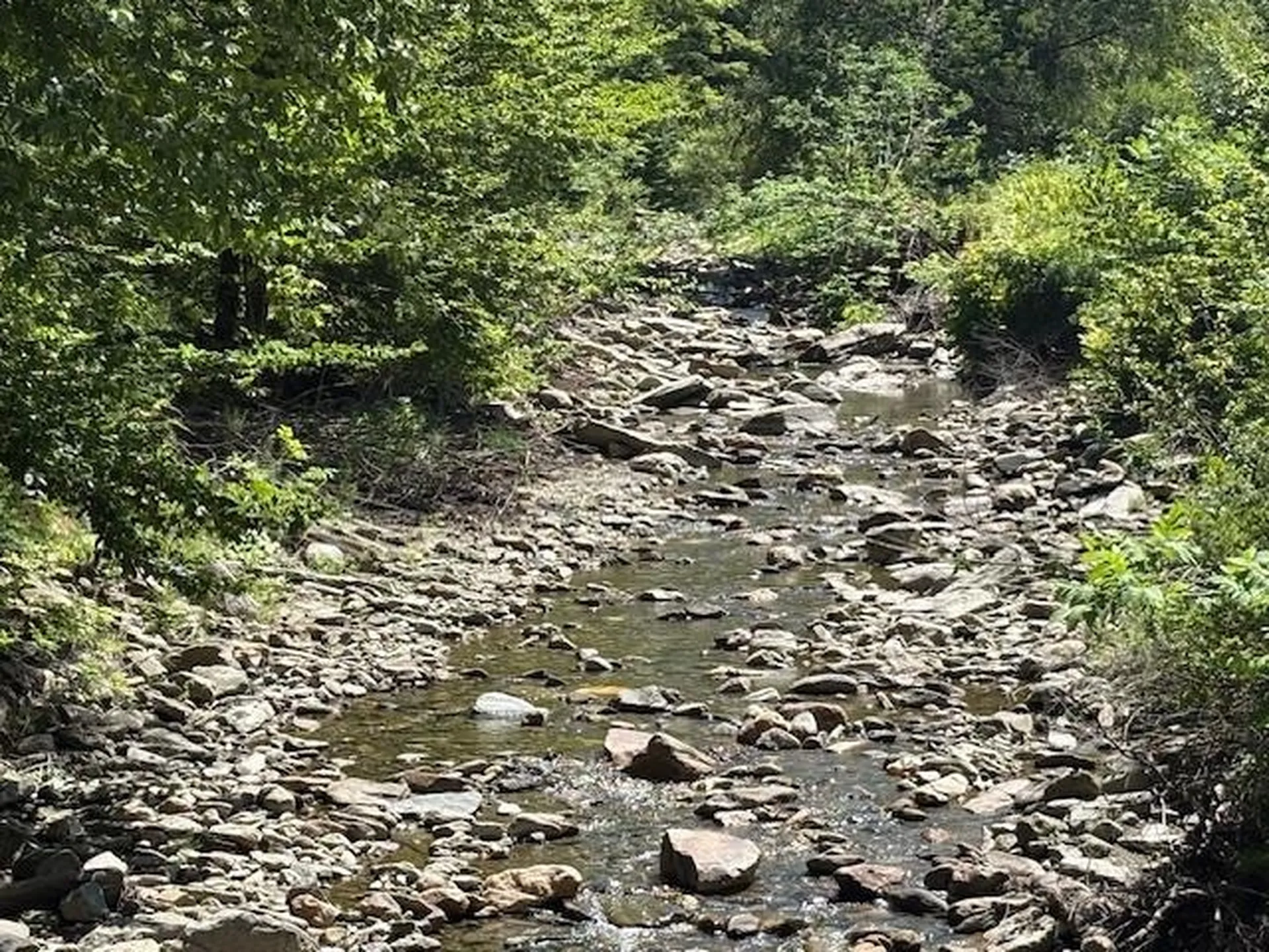 1585 Chateauguay Road Barnard VT 05031