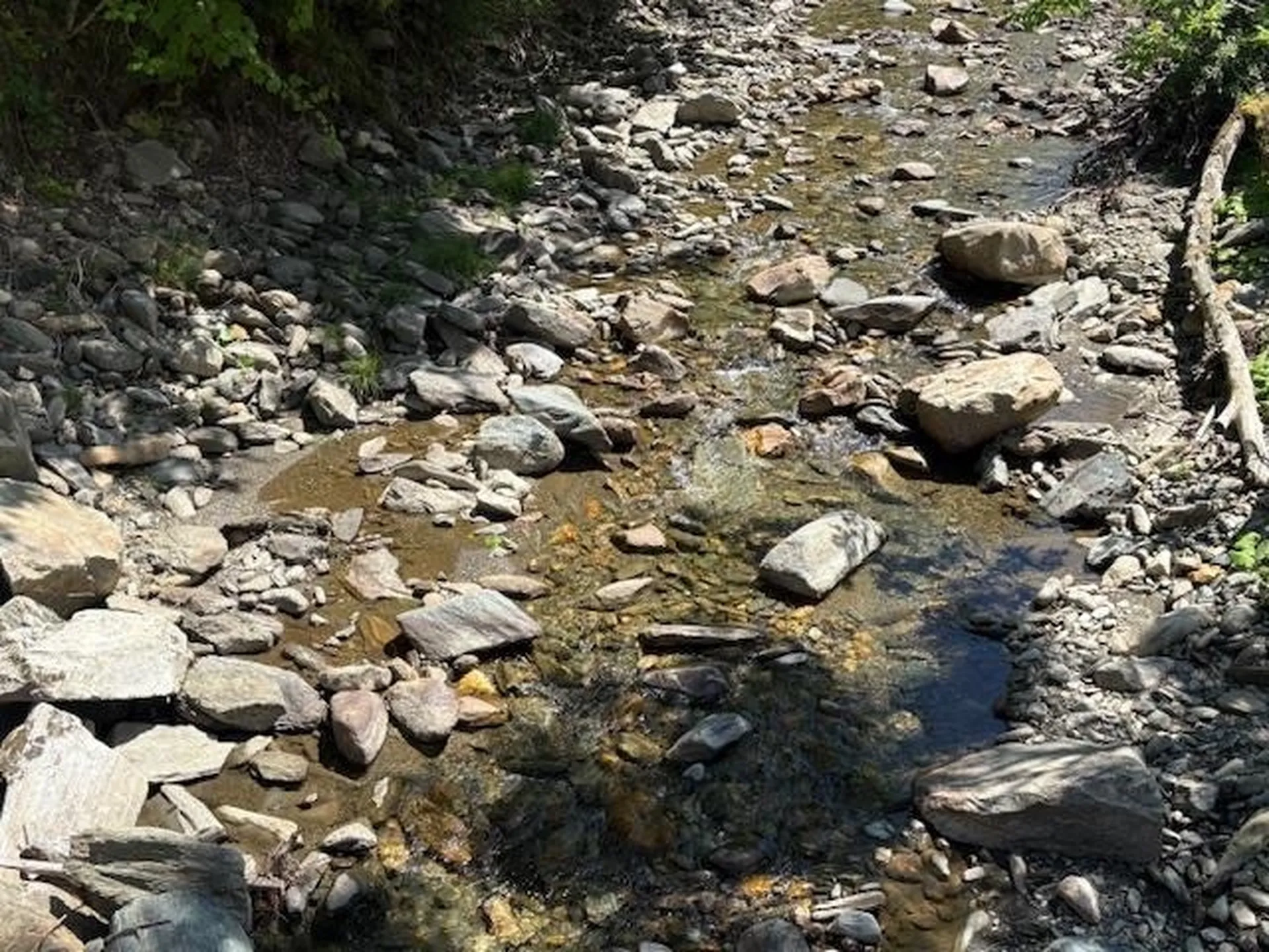 1585 Chateauguay Road Barnard VT 05031