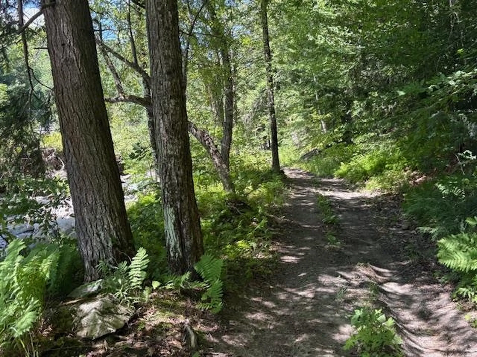 1585 Chateauguay Road Barnard VT 05031