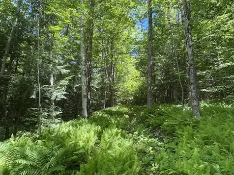 1585 Chateauguay Road Barnard VT 05031