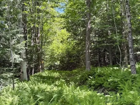 1585 Chateauguay Road Barnard VT 05031